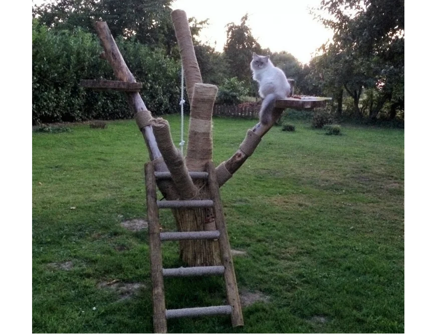 Katzenbaum im Garten