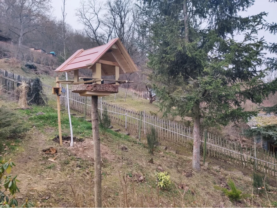 Vogelhaus an einem Baumstamm