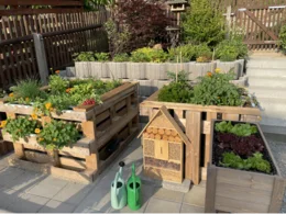 Hochbeete aus Paletten mit Gießkannen