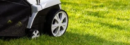 Vertikutierer auf grünem Rasen