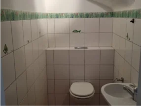 Toilette mit Froschmuster