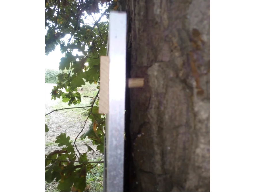 Metallprofil mit Holz an Baum befestigt