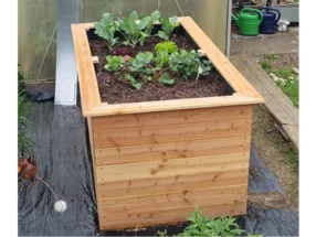 Holzbeet mit jungen Pflanzen