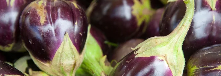 Ein Haufen Auberginen