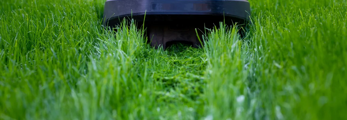 Rasenmähroboter auf grünem Rasen