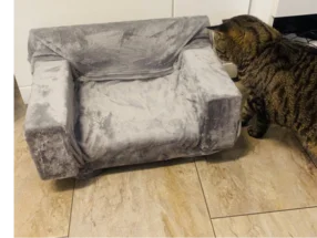 Graues Katzenbett mit Katze