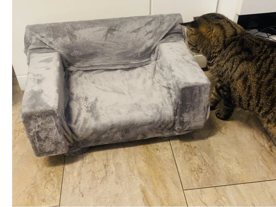 Graues Katzenbett mit Katze