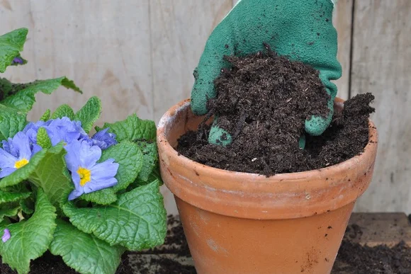 Hand mit Handschuh füllt Erde in Topf