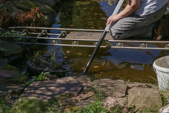 Eine Person reinigt mit einem Teichsauger den Gartenteich.