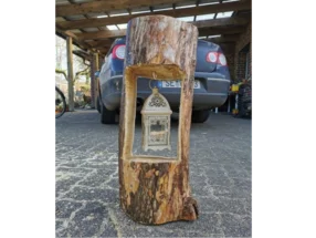 Baumstamm mit Laterne