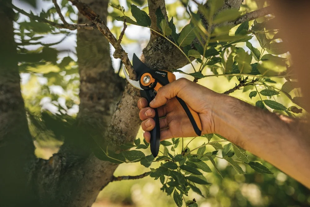 Person schneidet Ast mit Gartenschere