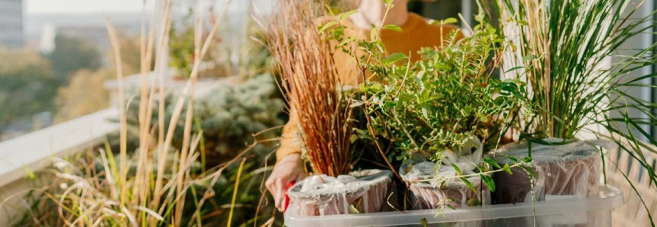 Person bepflanzt Terrasse