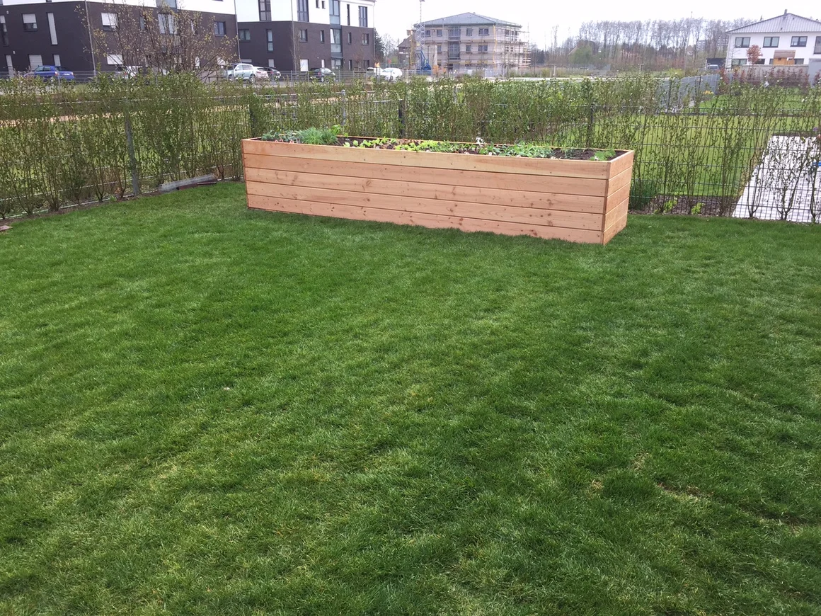 Hochbeet aus Holz auf Rasenfläche