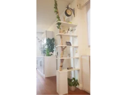 Regal mit Birkenstamm