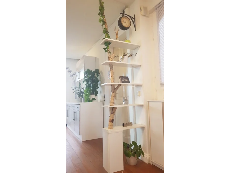 Regal mit Birkenstamm