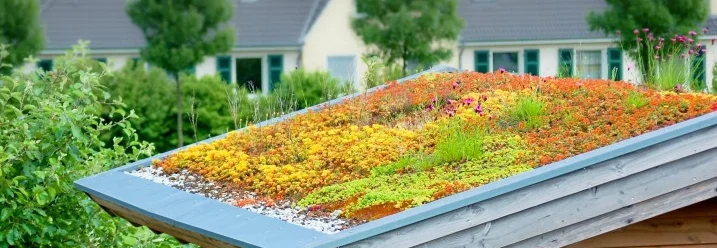 Begrüntes Gartenhausdach