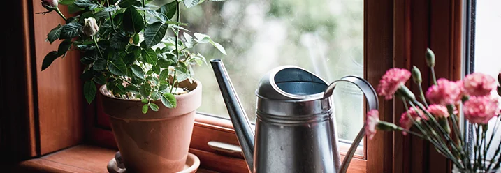 Rosen und Gießkanne auf Fensterbank