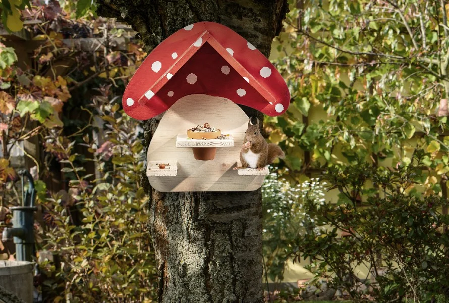 Eichhörnchen an Futterhaus in Pilzform