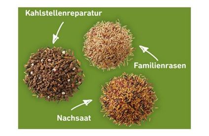 RT Rasenpflege Fruehjahr Rasen Saatgut 20 9 717x467 Saatgut Rasen