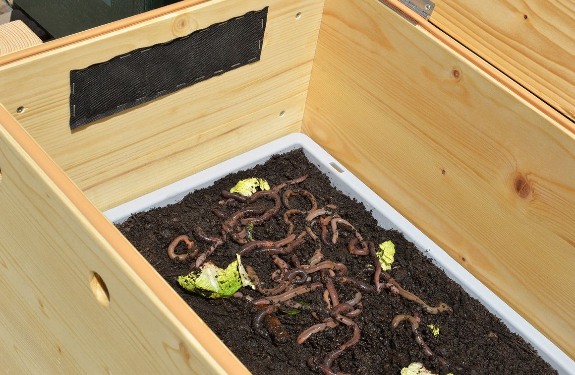 Wurmkomposter gefüllt mit Würmern und Erde