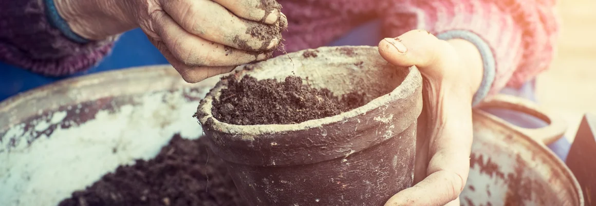Hände halten einen Topf mit Erde