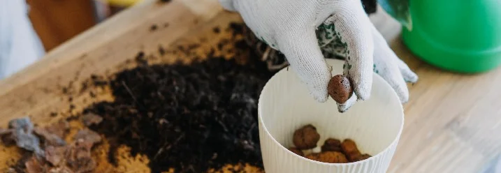 Person befüllt Topf mit Drainage