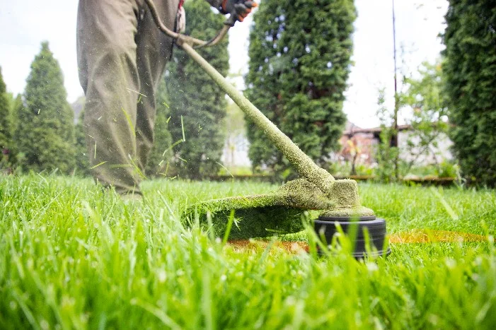 Person mäht Rasen mit Rasentrimmer