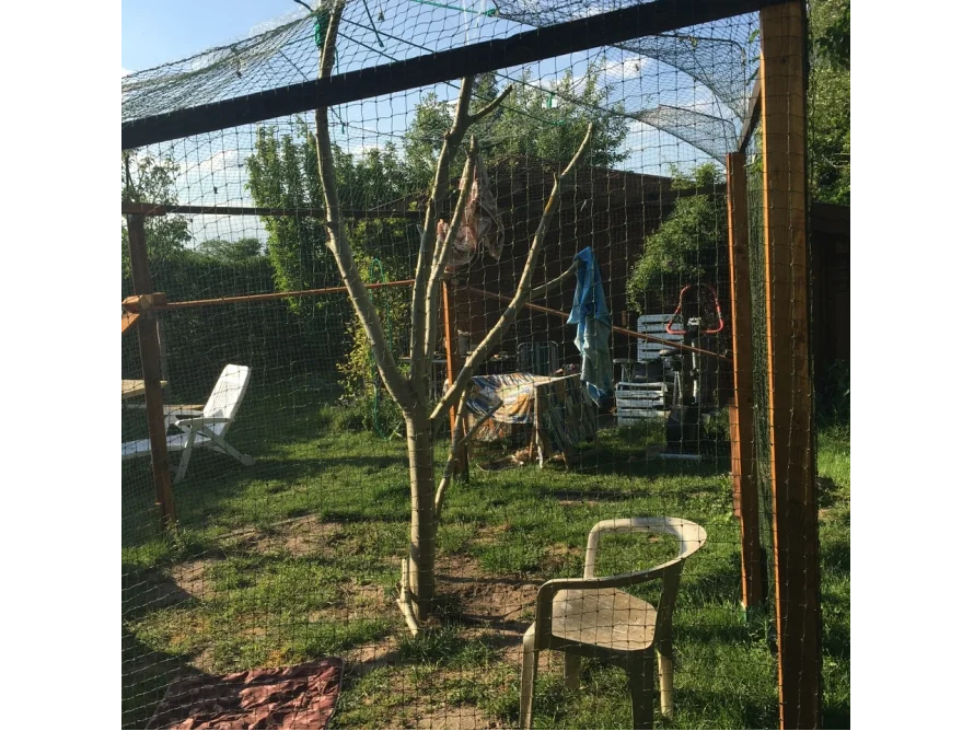 Garten mit einem Baum in einem Netzgehege