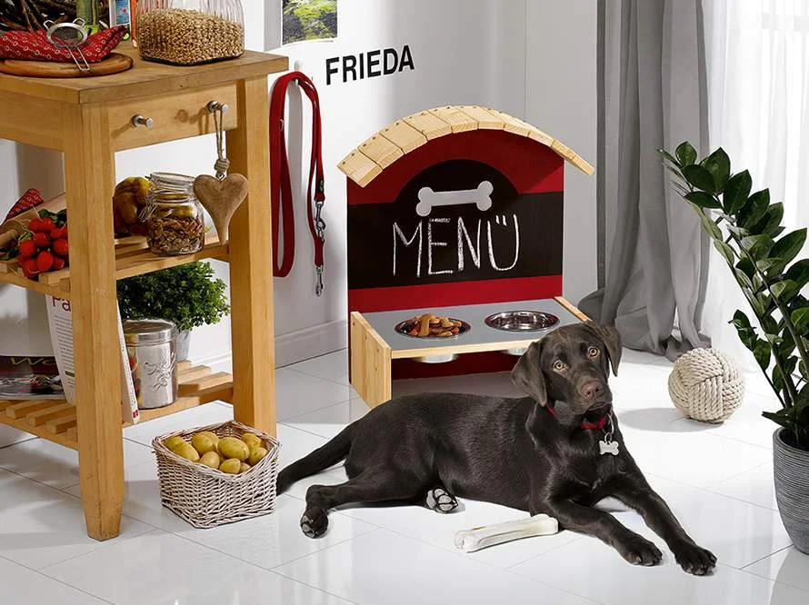 Brauner Hund liegt vor einem erhöhten Futternapf