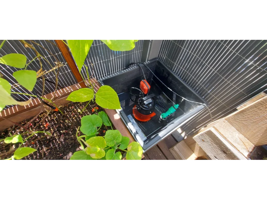 Bewässerungssystem im Gewächshaus