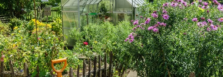 Gewächshaus im Garten