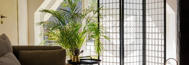 Heller Raum mit Paravent und Pflanze