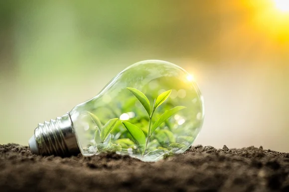 Pflanze in Glühbirne auf Erde