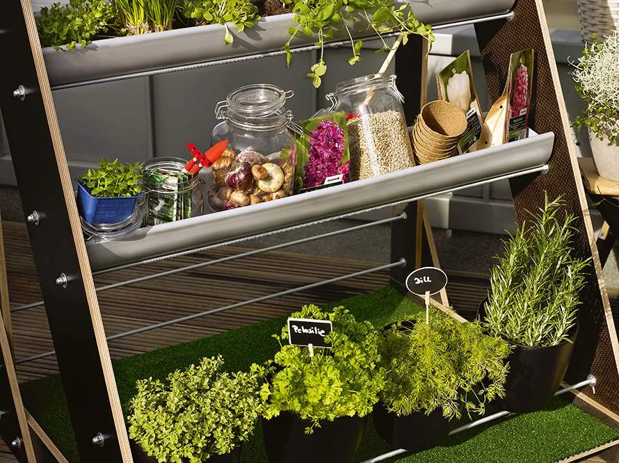 Holzregal mit Kräutern, Saatgut und Gartengeräten