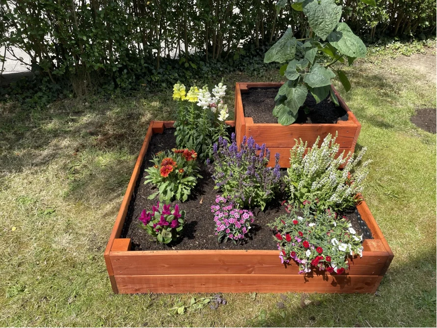 Holzbeet mit verschiedenen Blumen