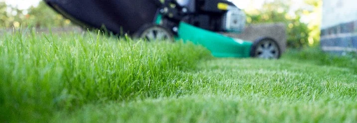 Rasenmäher mäht grünen Rasen