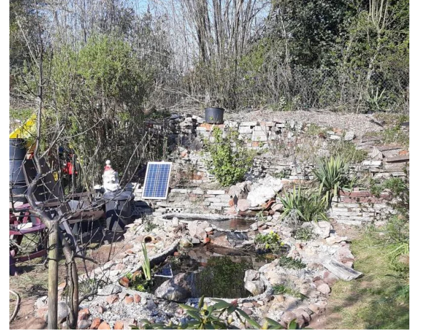 Teich im Garten mit Solarpanel