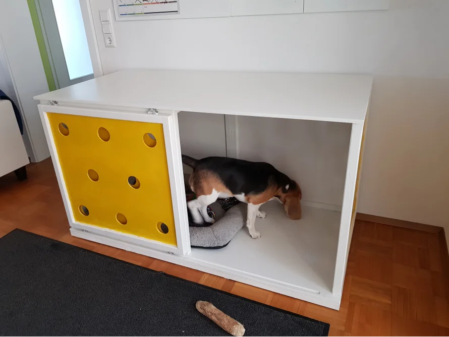 Hund in einer Hundebox