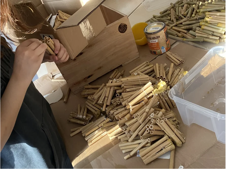 Person baut ein Insektenhotel