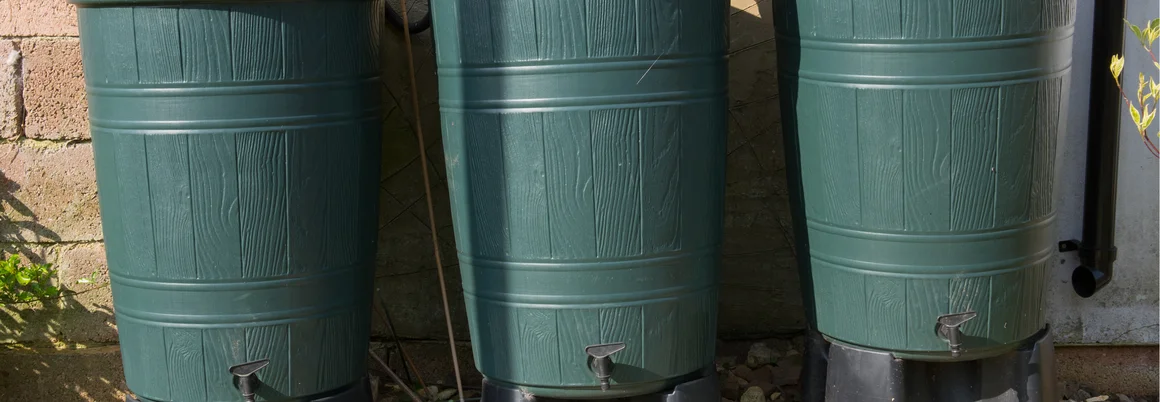 Drei grüne Regentonnen stehen nebeneinander an einer Hauswand.