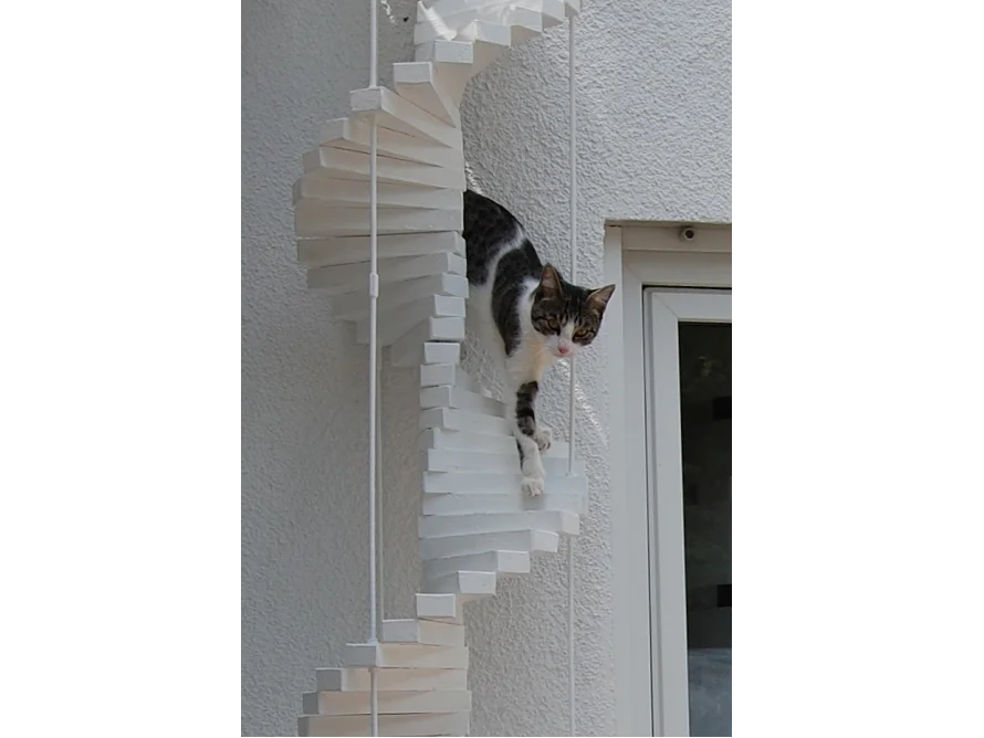 Katze auf weißem Wendeltreppen-Regal