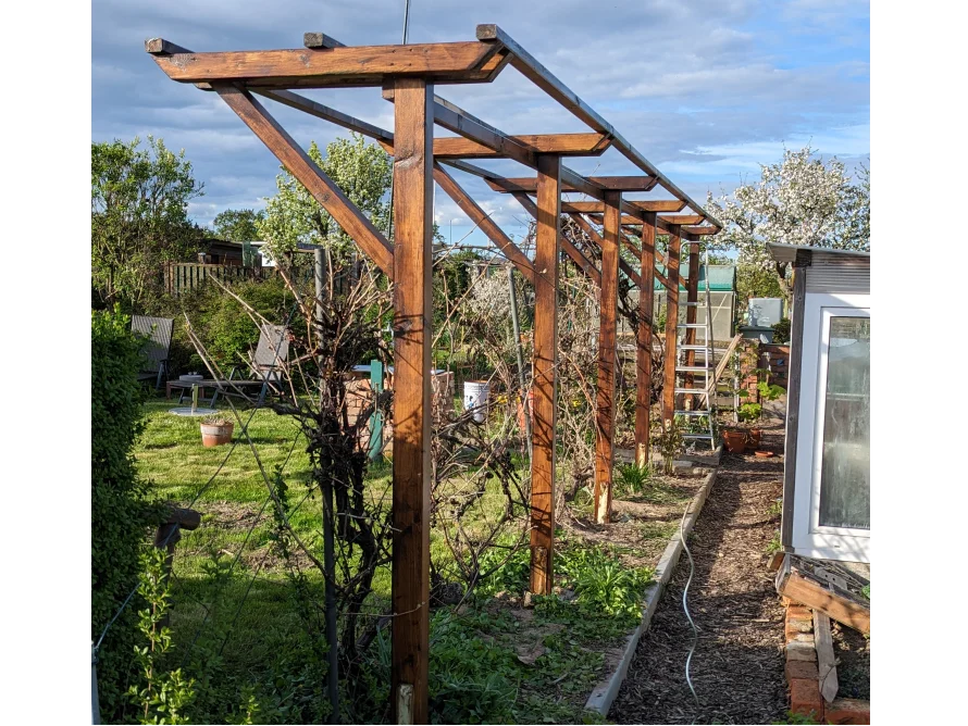 Rankgerüst aus Holz in einem Garten