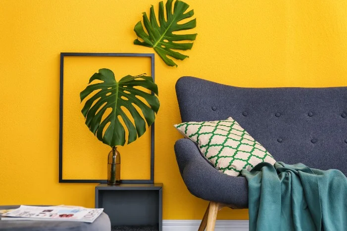 Gelbe Wand mit Sofa und Monstera