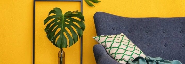 Gelbe Wand mit Sofa und Monstera