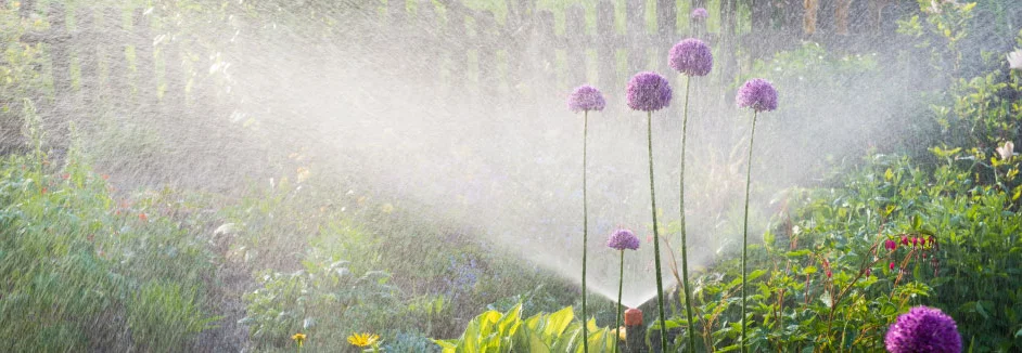 Sprinkler bewässert Blumen im Garten