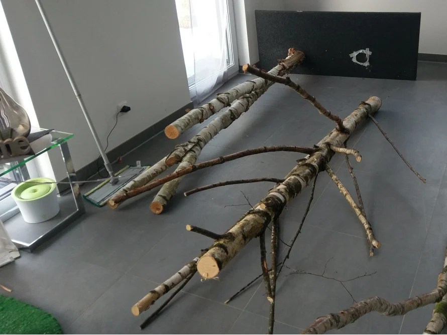 Natur-Kratzbaum Birke