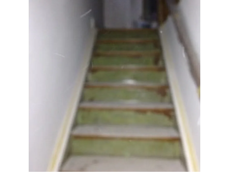 Verwinkelte Holztreppe mit grünem Belag