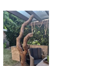 Gartenmöbel unter Pergola