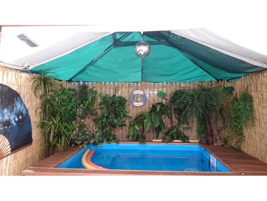 Pool mit tropischer Dekoration