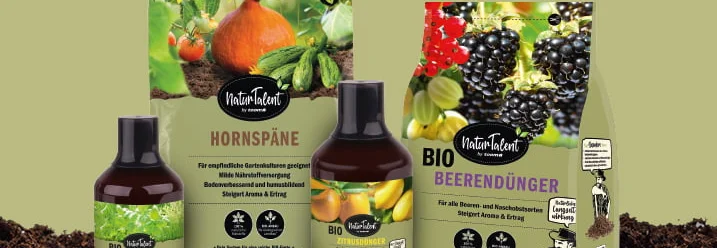 Drei Düngemittel und Hornspäne auf Erde